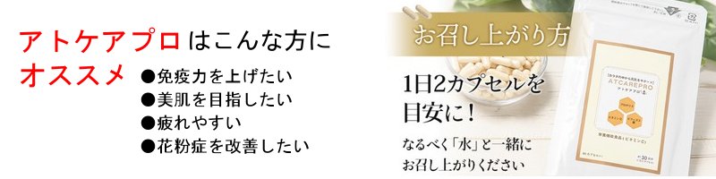 v|Xő̂̒猳C@AgPAvTCg